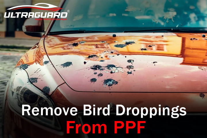 Remove bird droppings from PPF